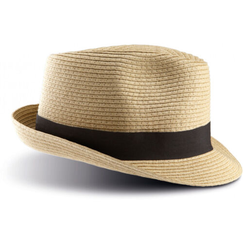 K-Up Panama Hat Thumbnail