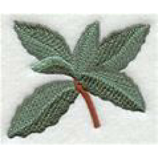 Island Paradise Mint Thumbnail