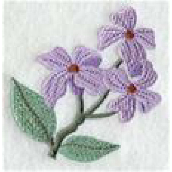 Island Paradise Violet Thumbnail