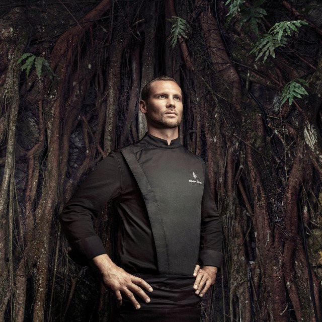 Short Sleeve Forest Green Chef Coat Black Chef Coat Short Sleeves